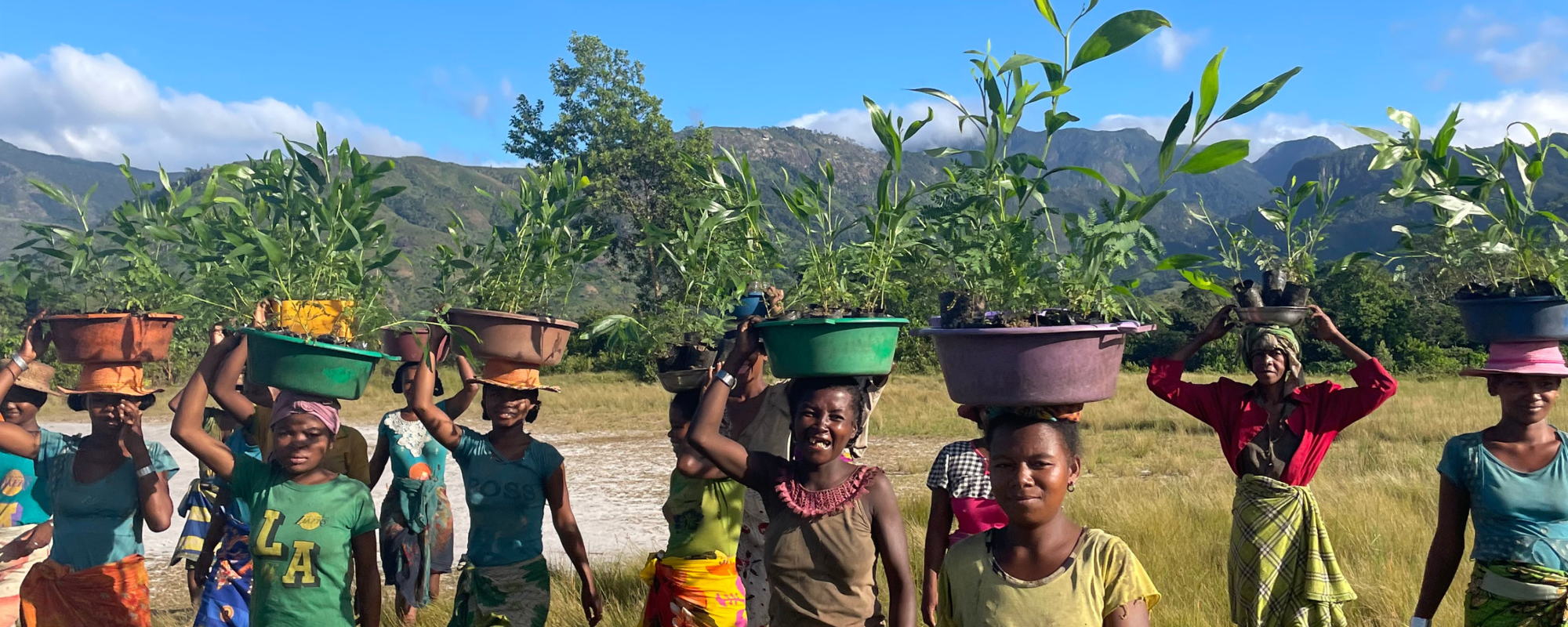 Women supporting reforestation as part of one of SEED’s environmental conservation projects.