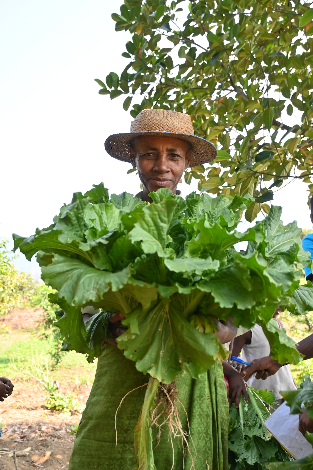 Fresh produce harvested by one of the planting leads