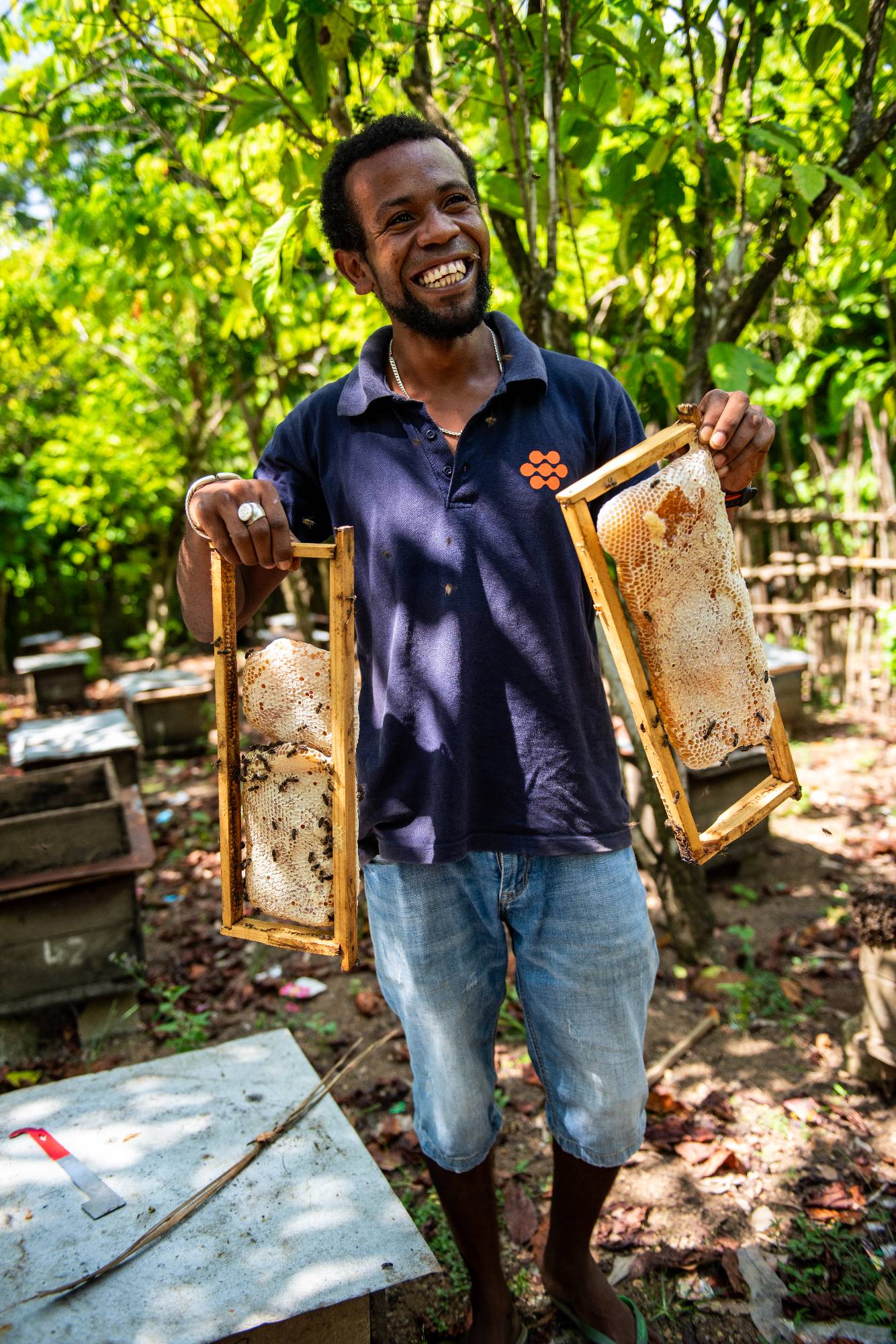 Haussman with hives.jpg