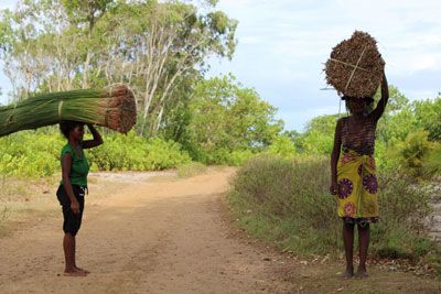 Women carrying bundles of mahampy reeds