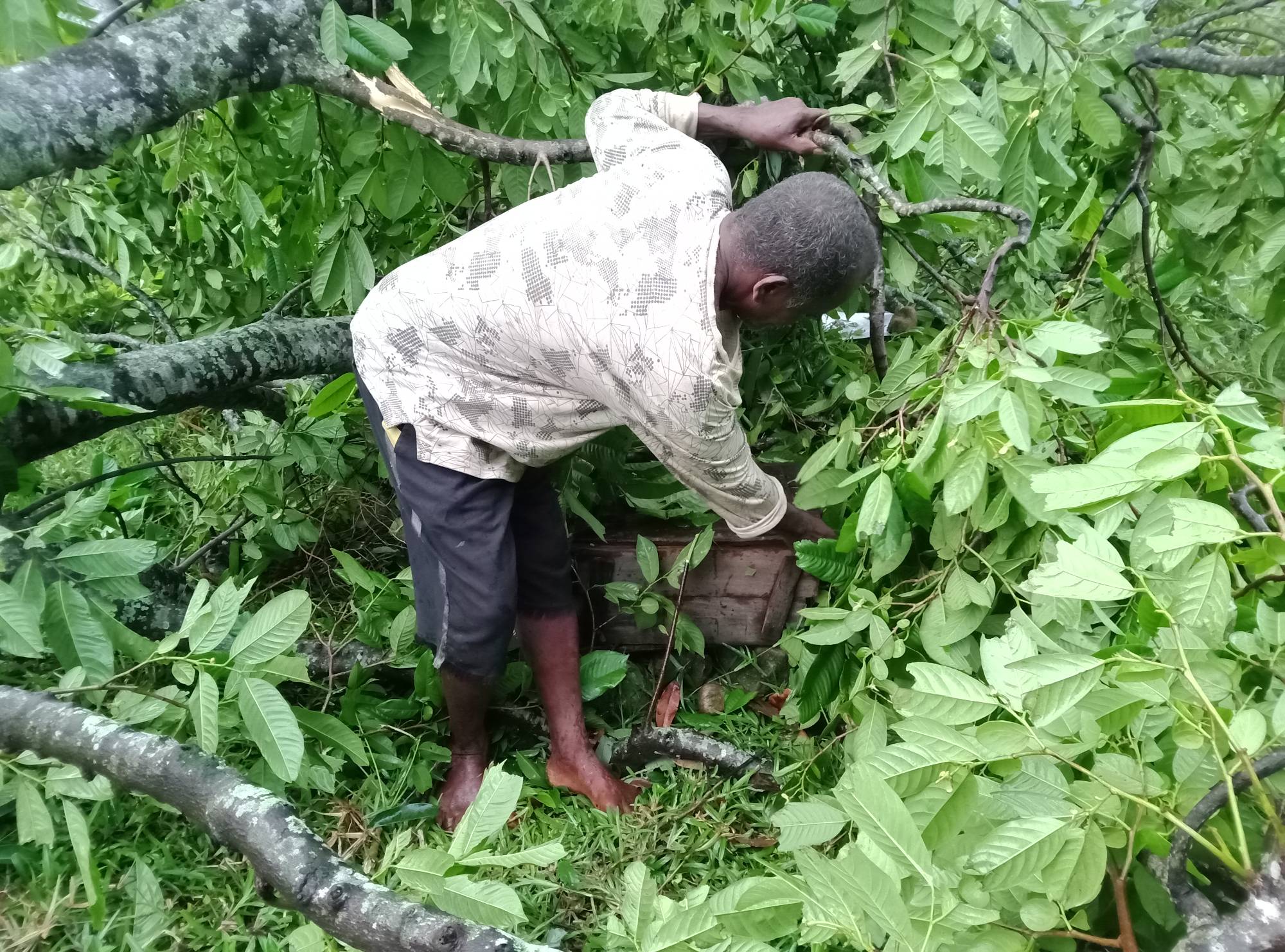 Participant assessing cyclone damage.jpg