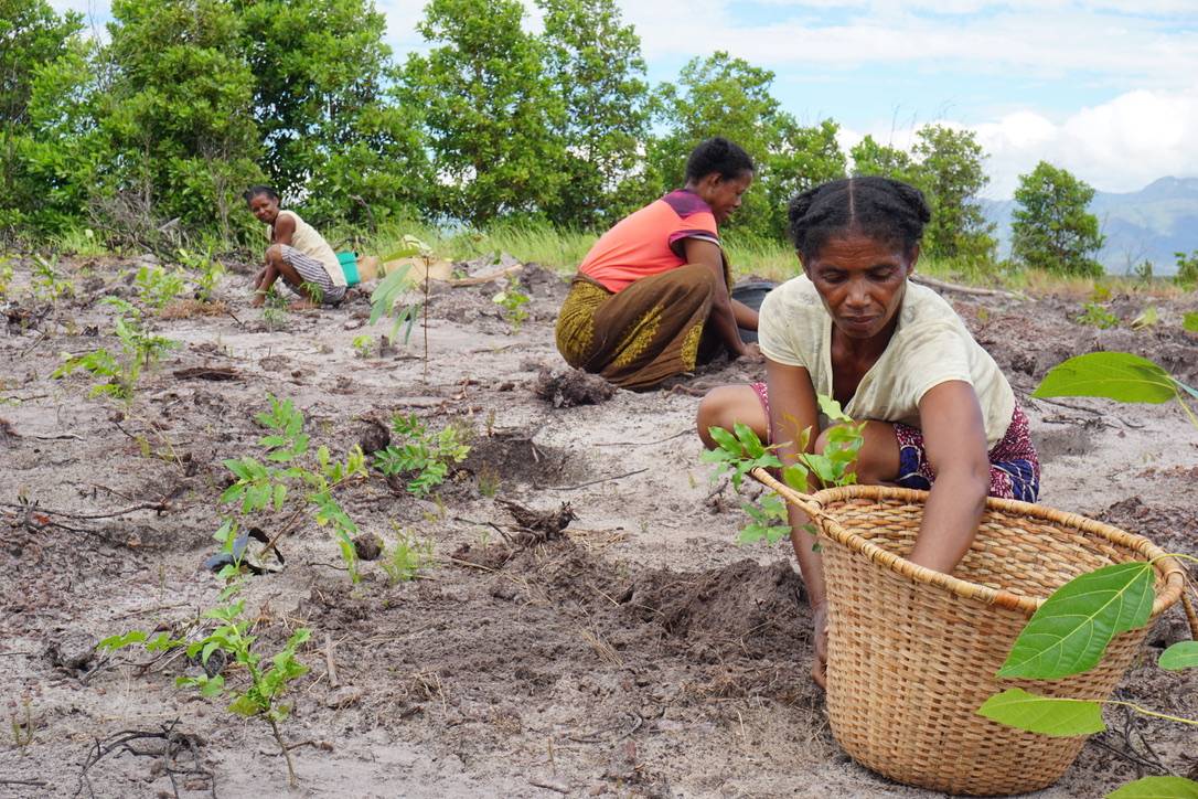 Community member planting