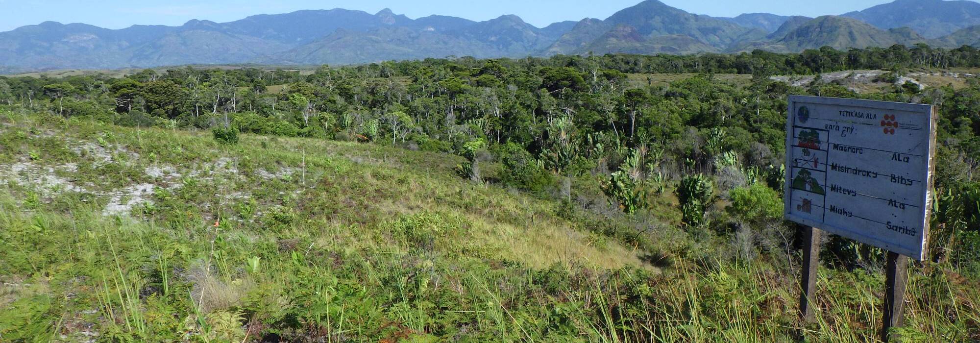 Madagascar landscape and mountains at a Programme Ala project site