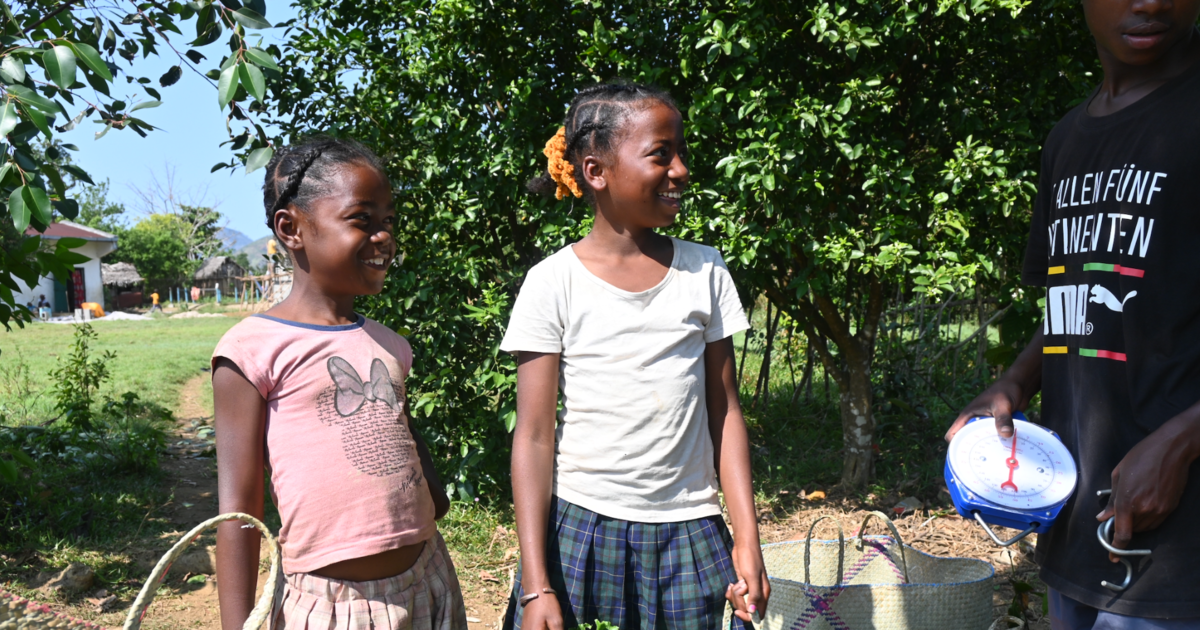 Screenshot 2025-12-04-2.png