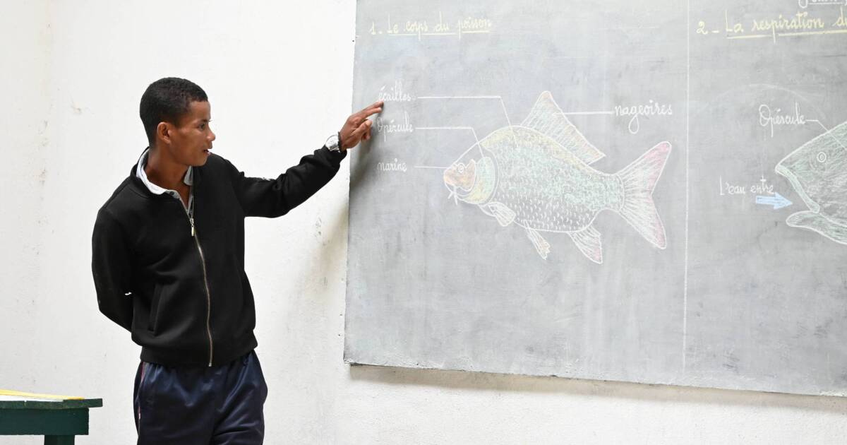 Mr. Joffrey doing a biology lesson.JPG