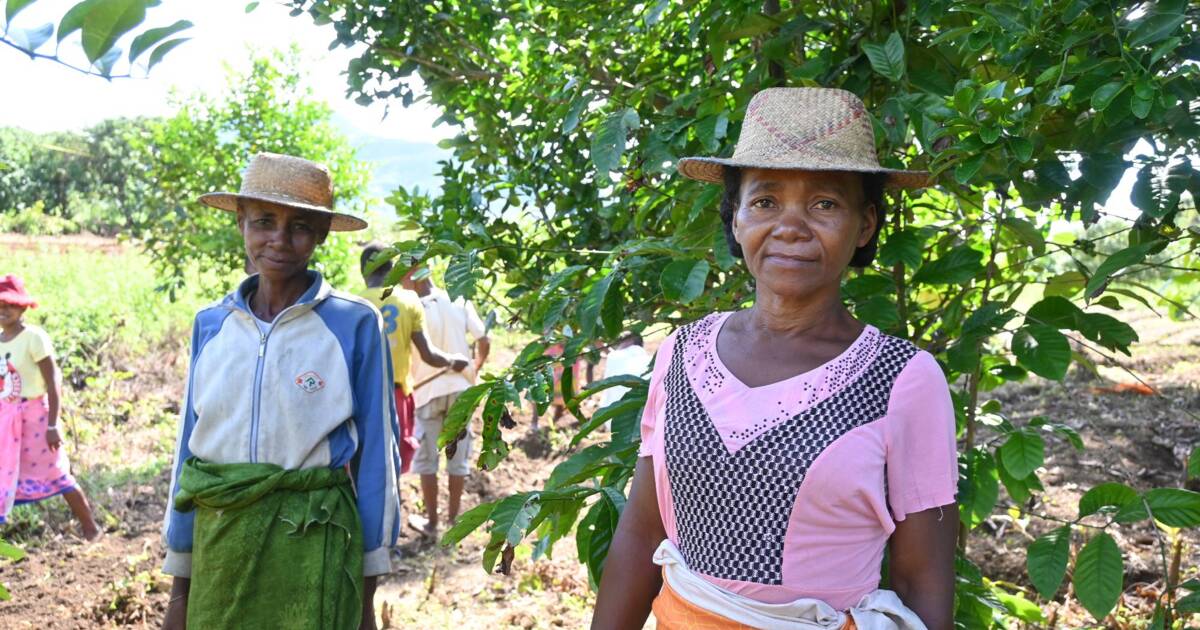 2025.03 - Planting Leads Agroforestry-KJ Eilenberg.JPG