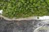 Image 1_ Aerial view of damage caused by a fire and the firebreak around S9 and the protected fragement.jpg